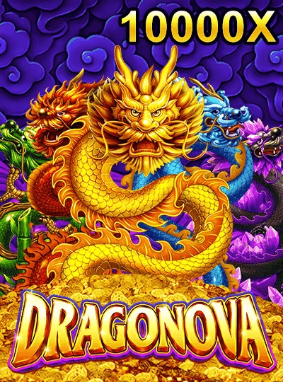 dkvip